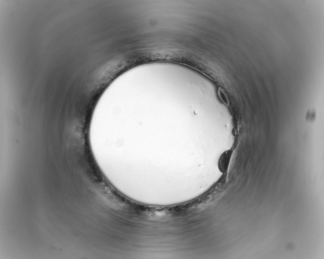 X0000090450258200708102056