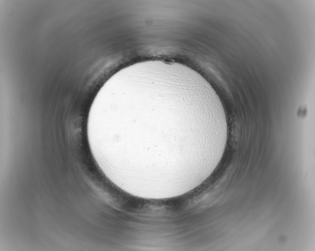 X0000090450260200708102056