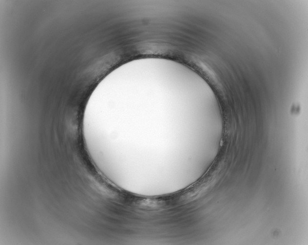 X0000090450261200708102056