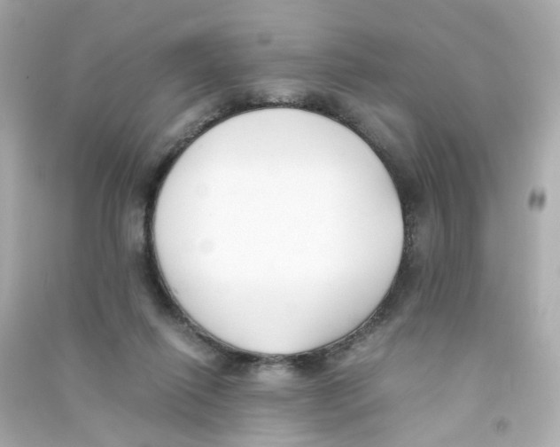 X0000090450262200708102056