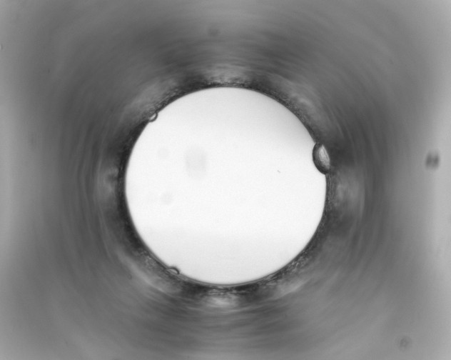 X0000090450263200708102056