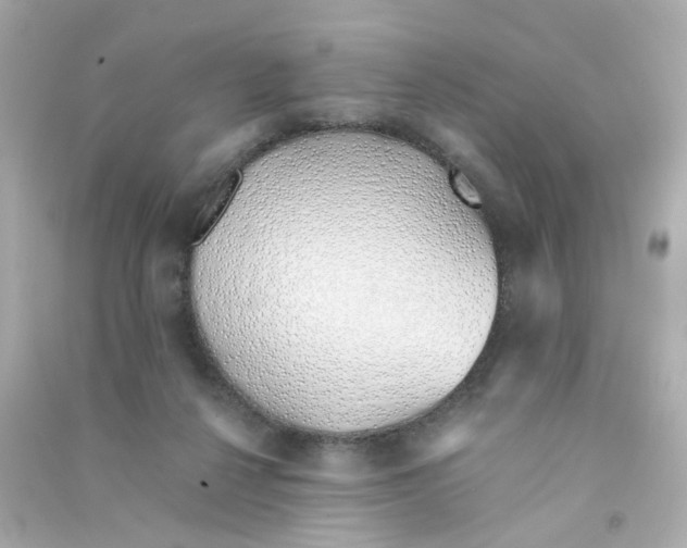 X0000090450264200708102056