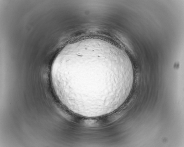 X0000090450265200708102056