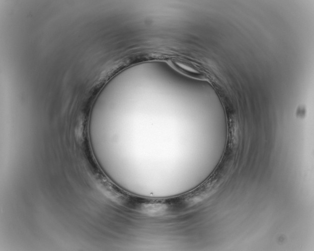 X0000090450266200708102056