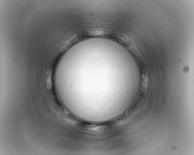 X0000090450267200708102056