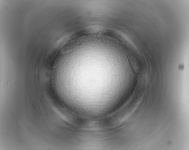 X0000090450268200708102056