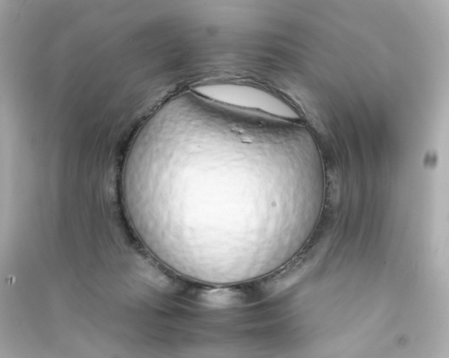 X0000090450269200708102056