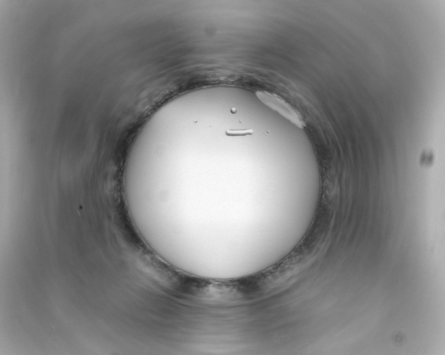 X0000090450270200708102056