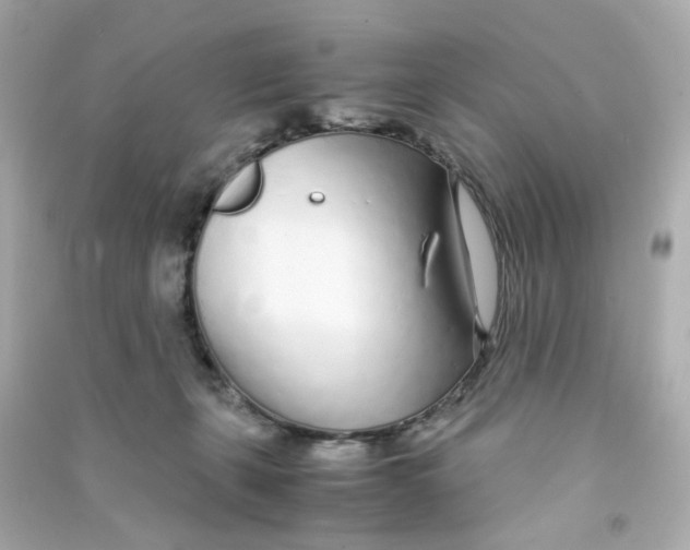 X0000090450271200708102056