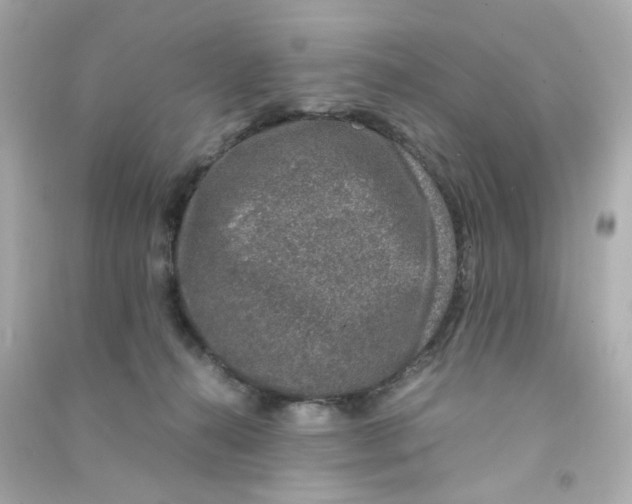 X0000090450272200708102056