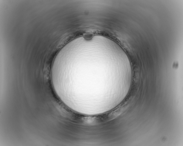 X0000090450273200708102056