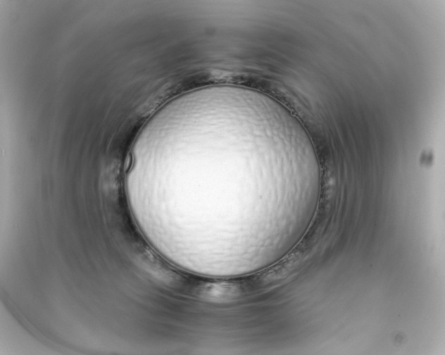 X0000090450275200708102056