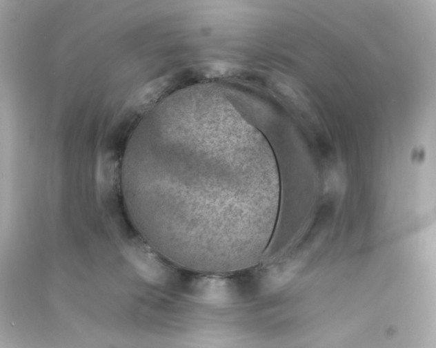 X0000090450276200708102056