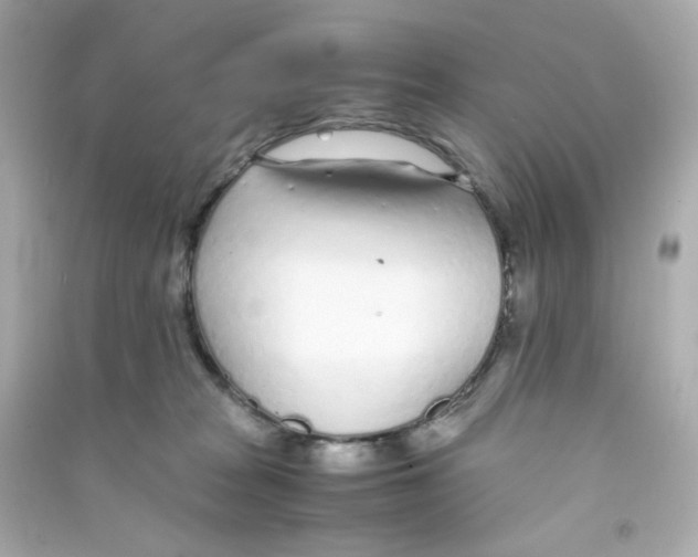 X0000090450277200708102056