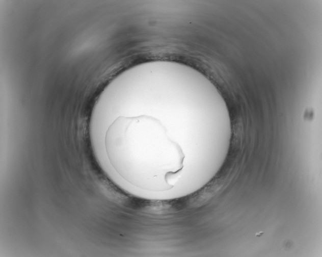 X0000090450278200708102056