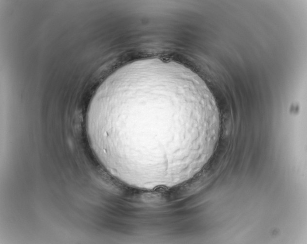 X0000090450279200708102056