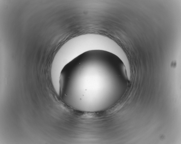 X0000090450280200708102056