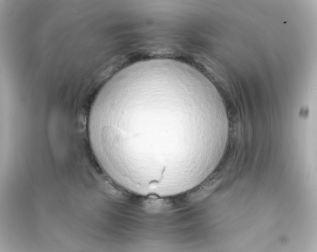 X0000090450281200708102056