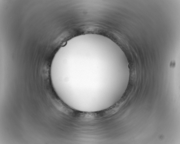 X0000090450282200708102056