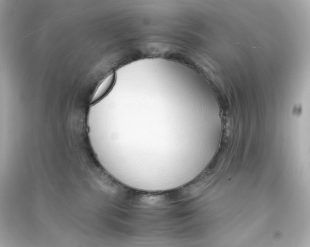 X0000090450283200708102056