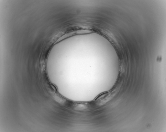 X0000090450285200708102056