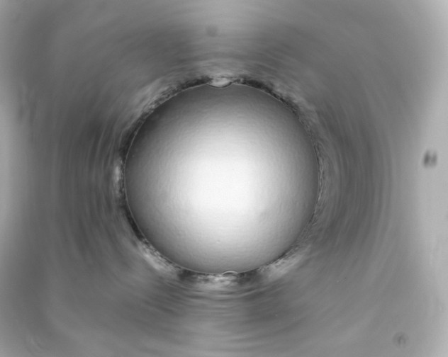 X0000090450288200708102056