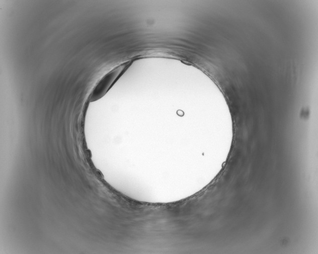 X0000090450289200708102055