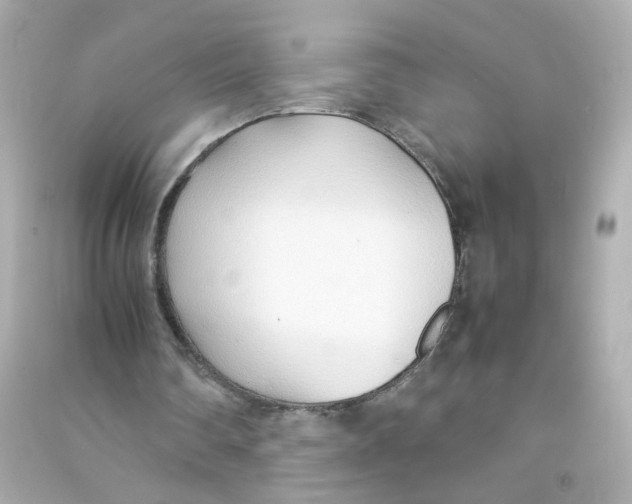 X0000090450290200708102055