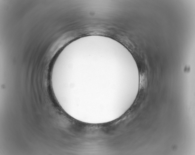 X0000090450291200708102055