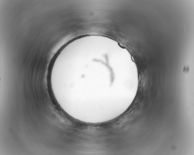 X0000090450292200708102055