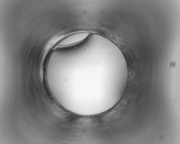 X0000090450294200708102055