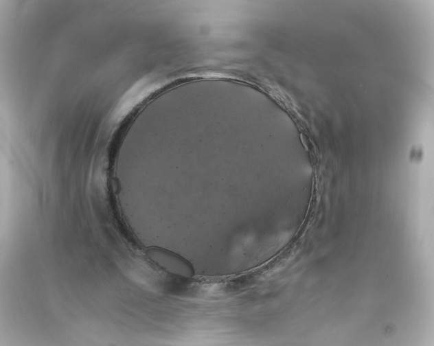 X0000090450295200708102055