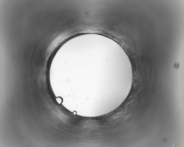 X0000090450296200708102055