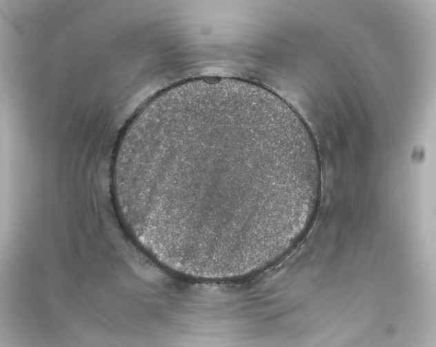 X0000090450297200708102055