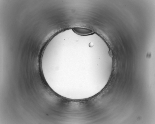 X0000090450298200708102055