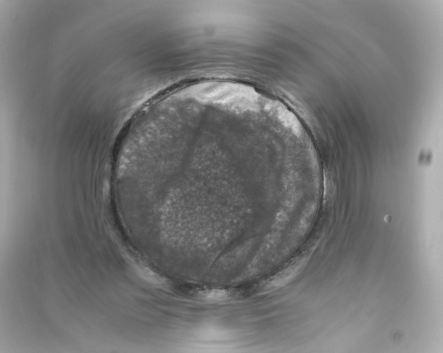 X0000090450301200708102055