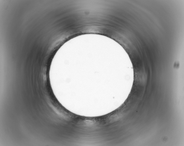 X0000090450302200708102055