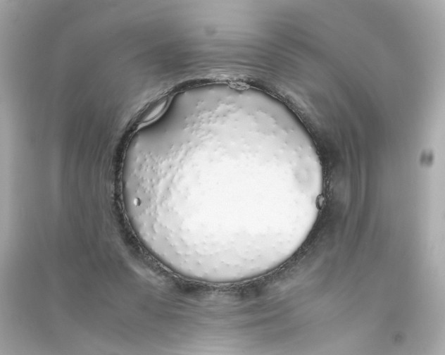 X0000090450303200708102055