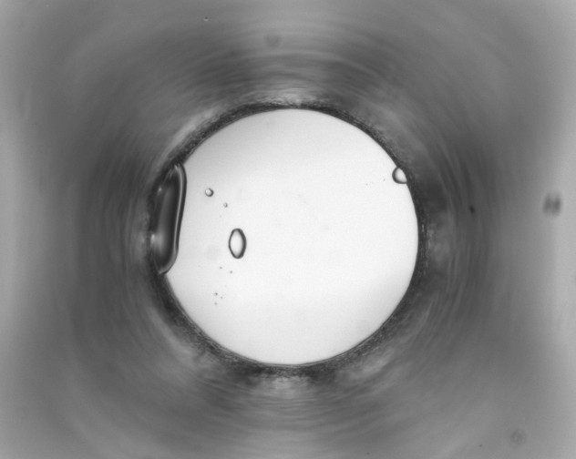 X0000090450304200708102055