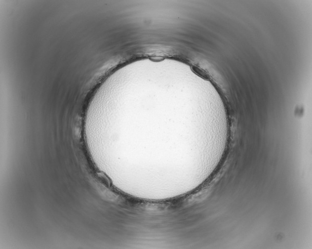 X0000090450305200708102055