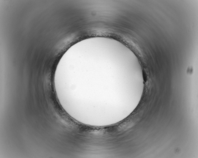 X0000090450306200708102055