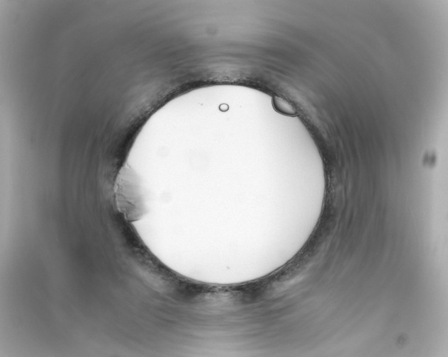 X0000090450307200708102055