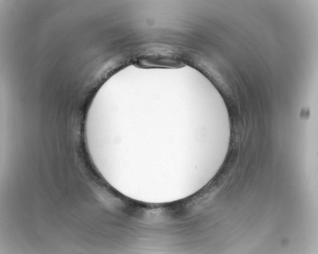 X0000090450309200708102055