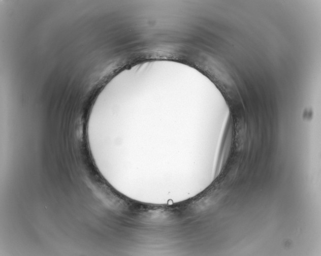 X0000090450310200708102055