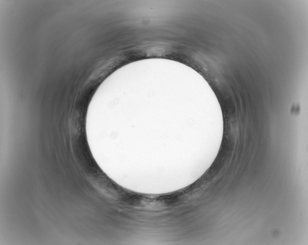 X0000090450311200708102055