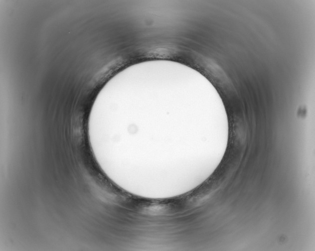 X0000090450312200708102055