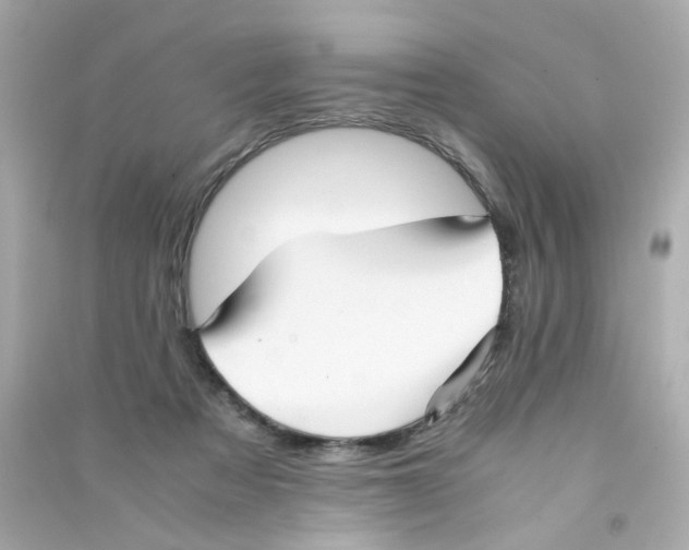 X0000090450313200708102055