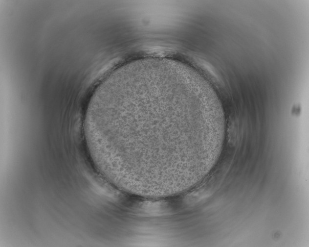 X0000090450314200708102055