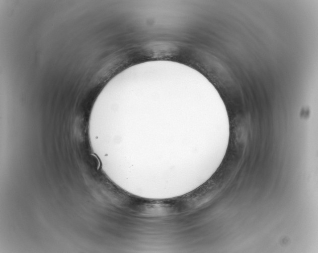 X0000090450316200708102055