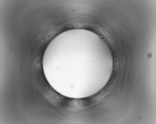 X0000090450317200708102055